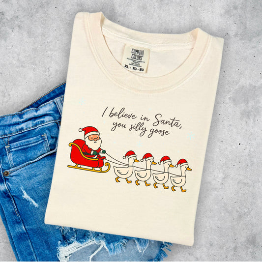 I Believe In Santa, you Silly Goose